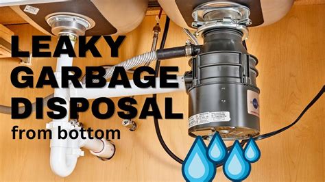 3. Common Causes of a Garbage Disposal Leaking from Bottom